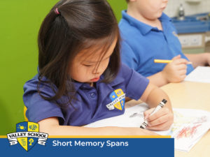 Best Private Preschools: Discussing Their Day