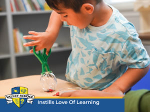 Is Private Elementary School Worth It?