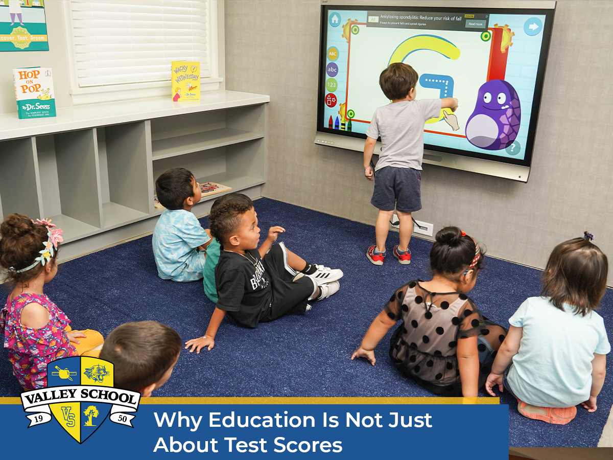 Why Education Is Not Just About Test Scores
